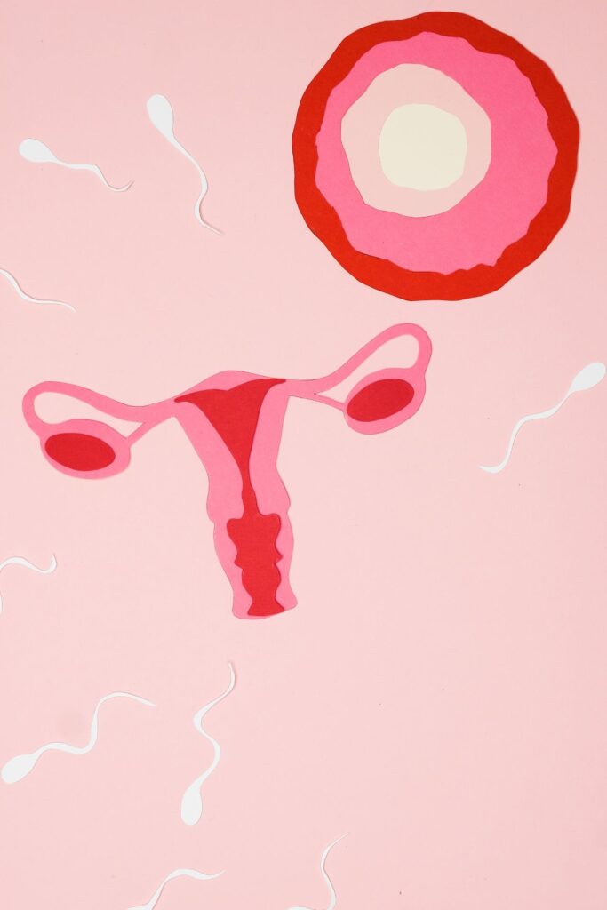 Verhütungsmittel im Vergleich / Zeichnung von Befruchtung